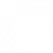 Cycas Consulting