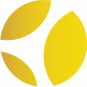 Fast Track Leadership Programme (FTL) - Czech Republic