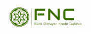 FNC non-bank credit institution 