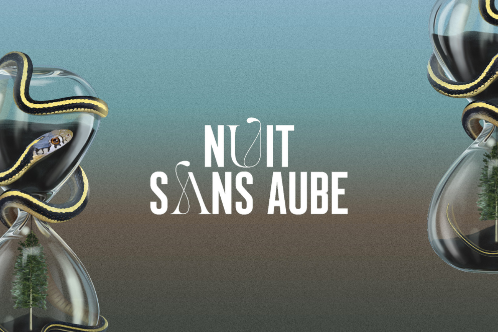 Nuit sans aube