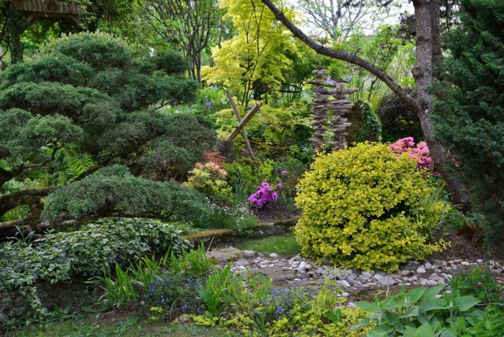 Une image contenant plein air, plante, arbuste, Jardin botanique

Description générée automatiquement