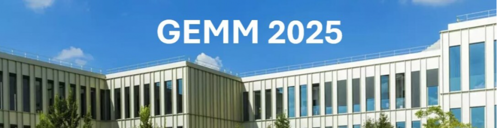 GEMM Global Executive Master in Management 2025