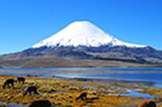 Chile