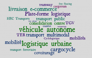 Transports et Mobilités - Transports and Mobilities