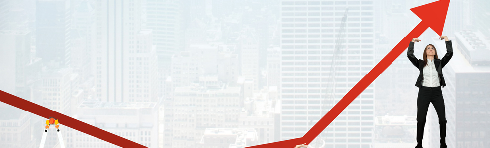 Dirigeants-Entrepreneurs / Managing Directors-Entrepreneurs