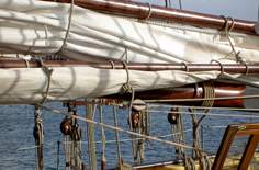 Classic Sail