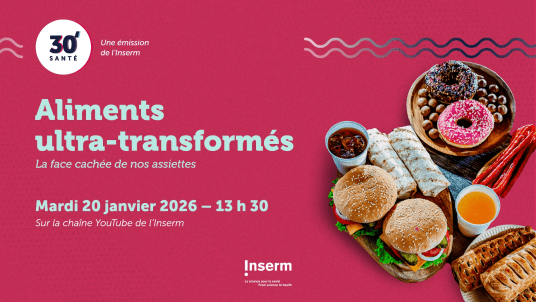 ALIMENTS ULTRA-TRANSFORMES : LA FACE CACHEE DE NOS ASSIETTES