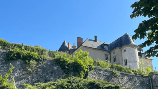 Randonnée pédestre d'entrainement dans la forêt de l'Hautil
