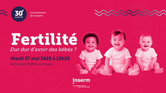 FERTILITE