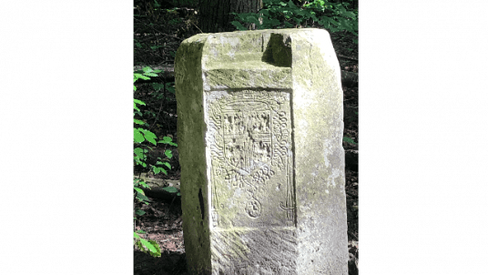 Randonnée pédestre en forêt d'Halatte