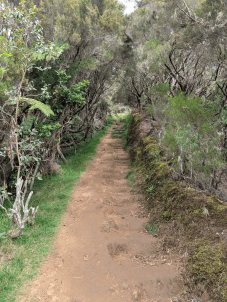 Randonnée pédestre d’entrainement autour du chateau de Versailles