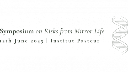 RISKS FROM MIRROR LIFE