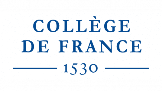 HEMATOPOIETIC STEM CELL AGING AND ADAPTATION TO STRESS