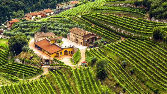 HEC Club Vins les vins "nature" ET bons ! 