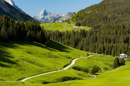 Stage Expérientiel Gestion de Crise - Montagne - Automne 2026