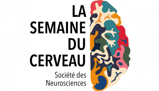 STEREOTYPES : COMPRENDRE LEURS MECANISMES POUR MIEUX S'EN AFFRANCHIR