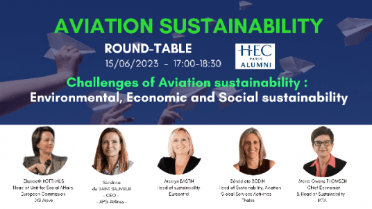 Challenges of Aviation sustainability : environmental, economic and social sustainability