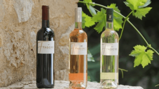 Visite et Dégustation au Domaine Fagone 
