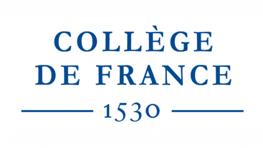 VIOLENCES FAITES AUX FILLES ET AUX FEMMES : LE CONTINUUM ET SES EFFETS SUR LA SANTE MENTALE 