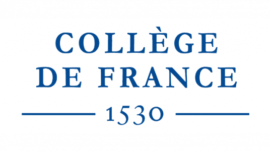 ADAPTATIVE AND MALADAPTATIVE MYELOID CELL PRODUCTION