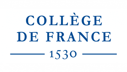 INTERROGER L'EXPLICABILITE DES SYSTEMES D'IA : ETUDE DE LA CONCEPTION D'UNE IA MEDICALE INTELLIGIBLE