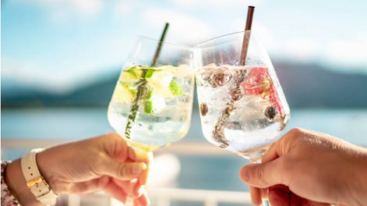 Summer Party - Club Aviron HEC Alumni