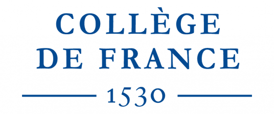 SANTE MENTALE ET ADDICTIONS DES PERSONNES EN SITUATION DE GRANDE PRECARITE : LES RECHERCHES AUPRES DES PERSONNES SANS DOMICILE