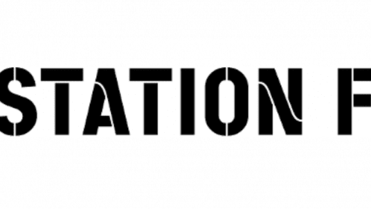 Cafards ou licornes, un choix cornélien ? Lever ou ne pas lever des fonds ?